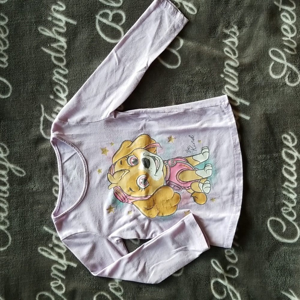 Paw Patrol Skye Toddler Girl Sweatshirt GUC